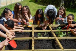 Jardinage enfants école Giono Bollène