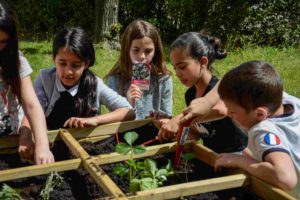 Jardinage enfants école Giono Bollène