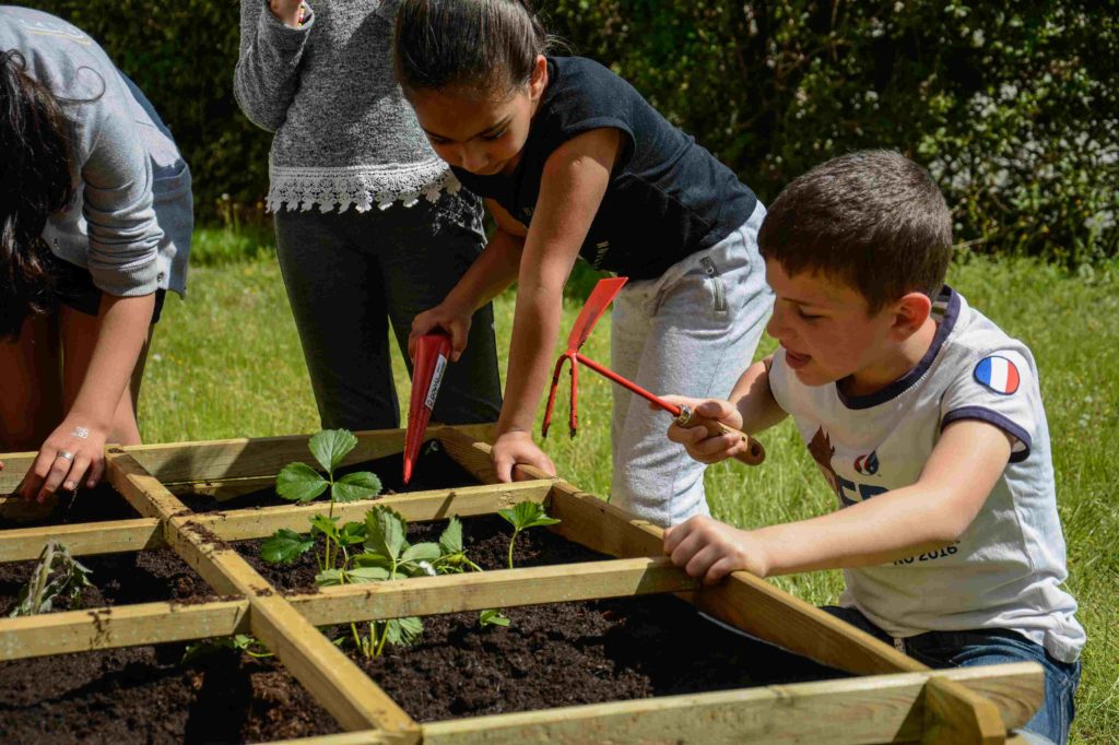 Jardinage enfants école Giono Bollène - Communauté de communes Rhône