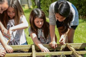 Jardinage enfants école Giono Bollène