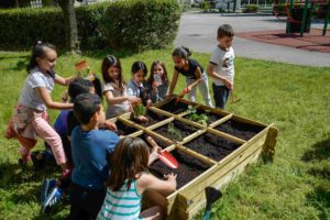 Jardinage enfants école Giono Bollène