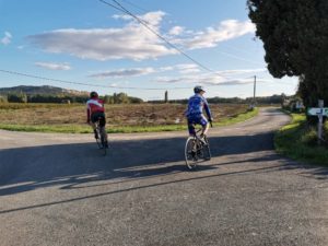 Travaux Viarhona