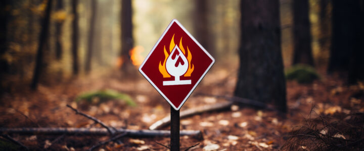 VIGILANCE FEUX DE FORÊT – INTERDICTION D’ACCÈS VIGILANCE FEUX DE FORÊT – INTERDICTION D’ACCÈS