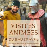 La forteresse de Mornas