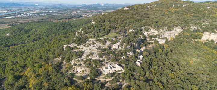 À la découverte des orchidées sauvages de la montagne de Barry à Bollène le 2 mai prochain.