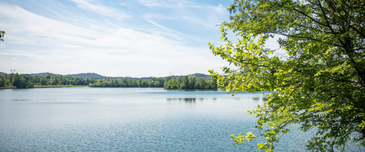 Direction le Marais de l’Île Vieille !
