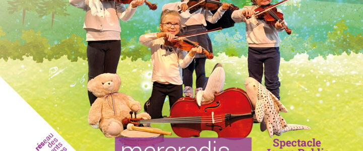 Catastrophe… Violinette a perdu son violon…
