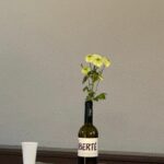 Retour sur le Printemps des Poètes à Bollène