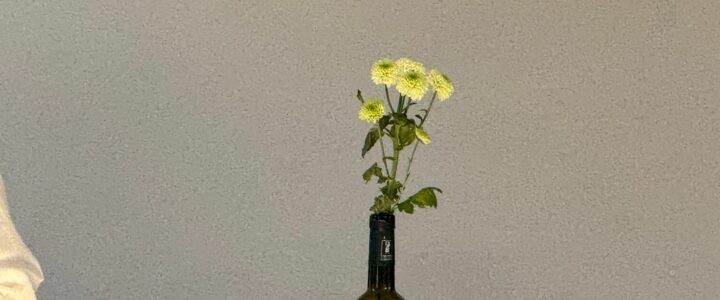 Retour sur le Printemps des Poètes à Bollène