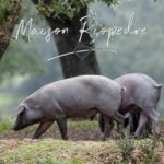 Un air d’Espagne arrive bientôt à la Maison du Terroir !