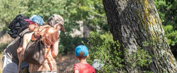 Petits explorateurs de la nature – Mercredi 24 Juin
