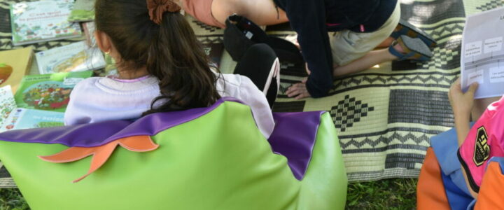 Le Réseau de Lecture Publique à la Fête Provençale de Bollène !