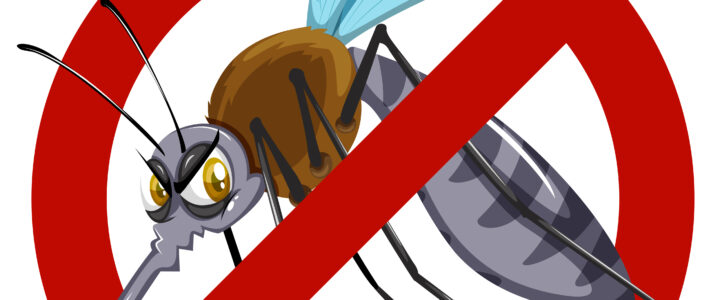 Moustique tigre : adoptons les bons réflexes !