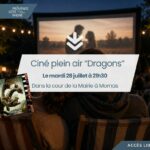 Les soirées cinéma en plein air continuent !